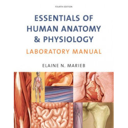 Essentials of Human Anatomy...